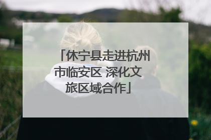 休宁县走进杭州市临安区 深化文旅区域合作
